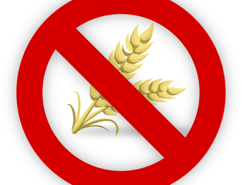 Enjoying Gluten Free Matzo Ball Soup